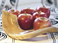 sally-moskol-shofar-horn-for-rosh-hashanah-near-apples re.jpg